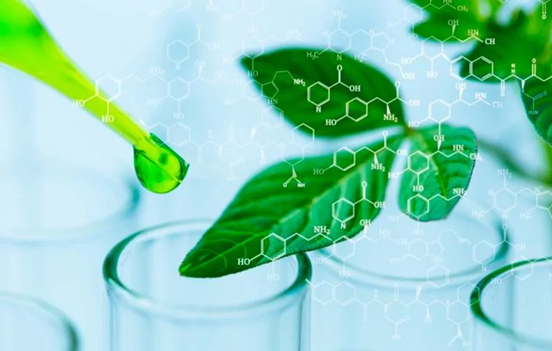 Pós-graduação EAD em Biotecnologia