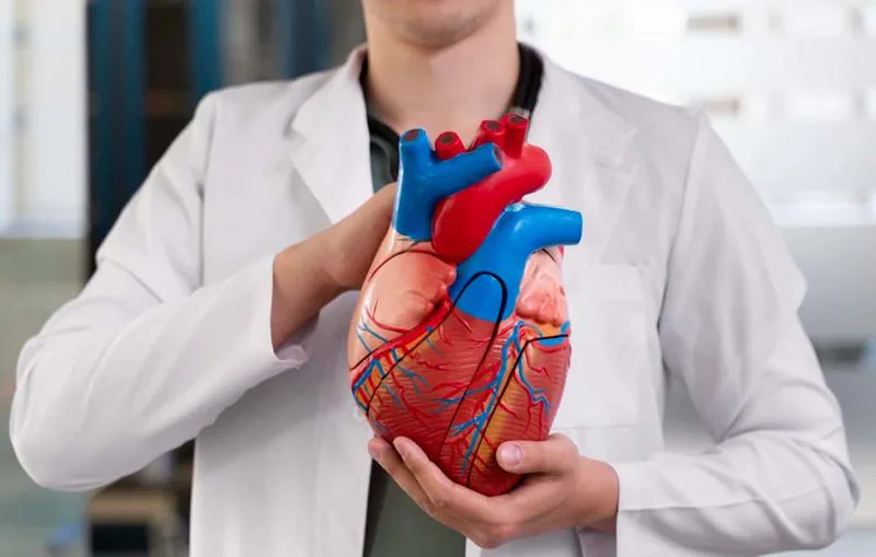 Pós-graduação EAD em Fisioterapia Cardiovascular