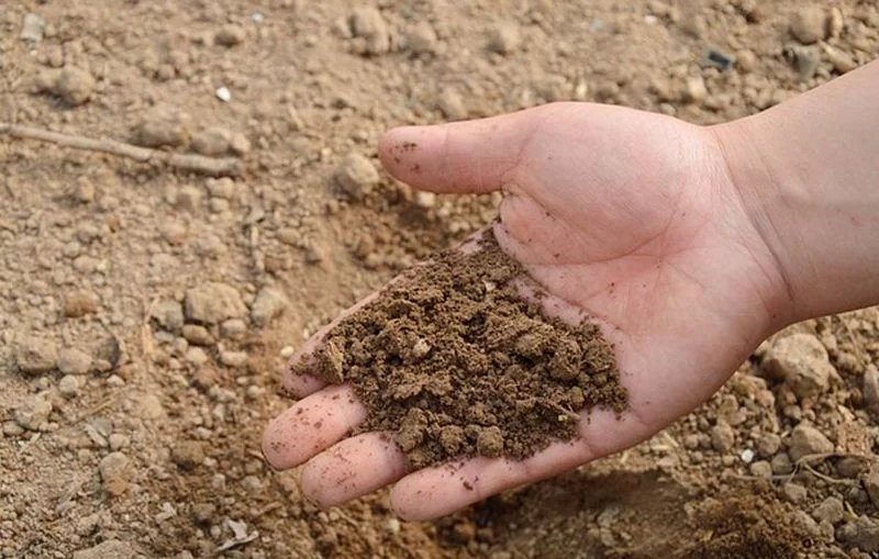 Pós-graduação EAD em Pedologia e Geomorfologia