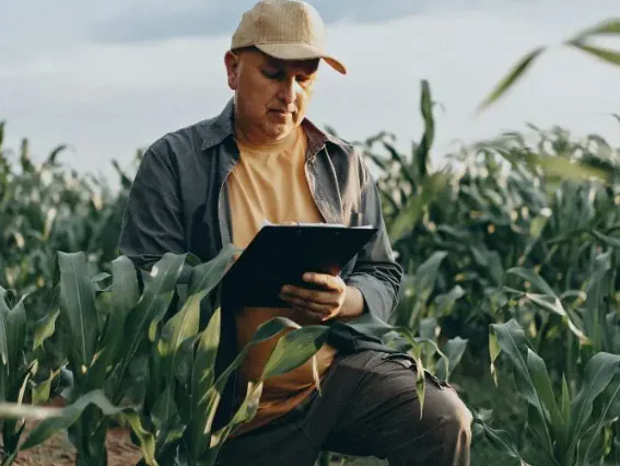 Pós-graduação EAD em Gestão do Agronegócio