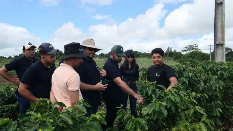 Pós-graduação EAD em Agronegócio, Gestão Empresarial e Inteligência Competitiva