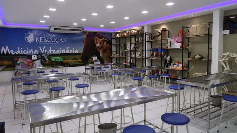 Laboratório de Anatomia Animal