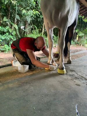 Dr. Rodrigo Albuquerque